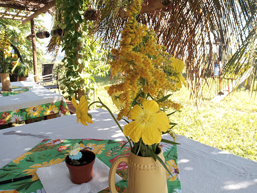 Camping Sítio São Francisco