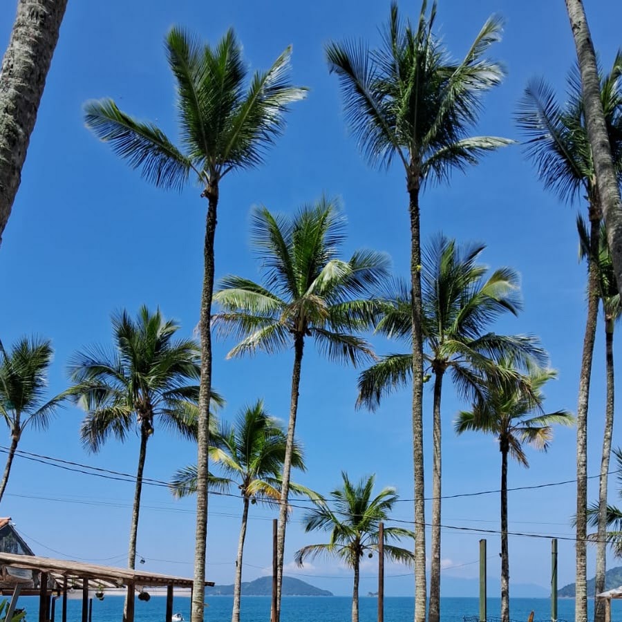 Pedra Negra Park – Ubatuba