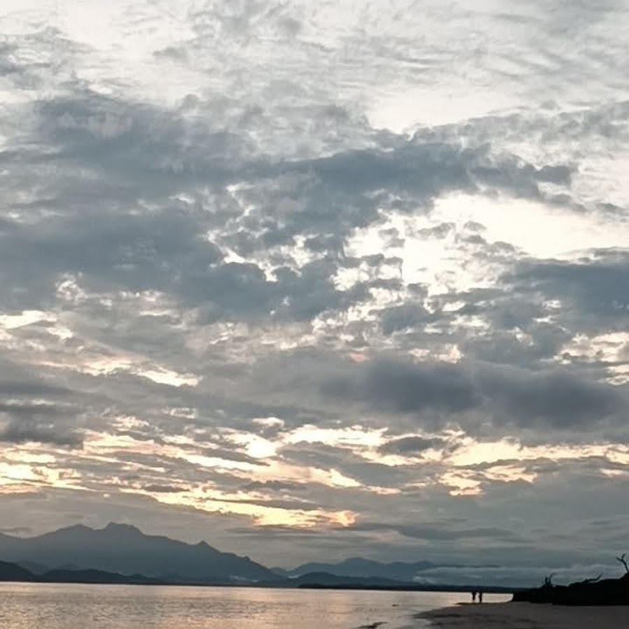 Baía dos golfinhos