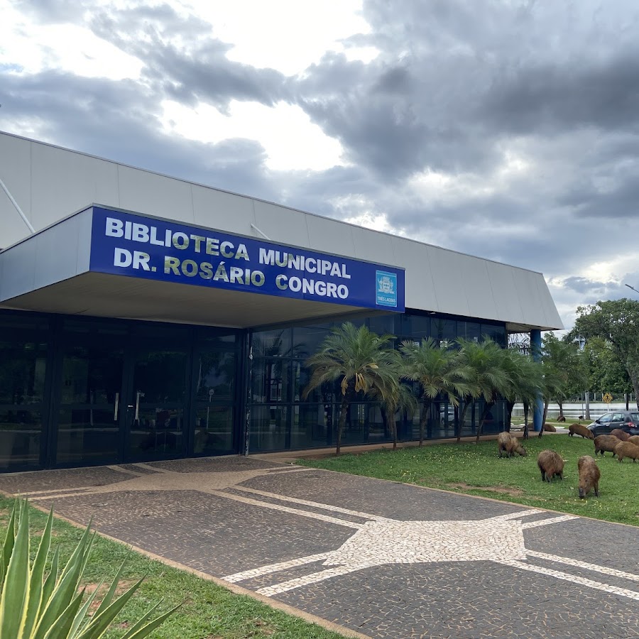 Biblioteca de Três Lagoas