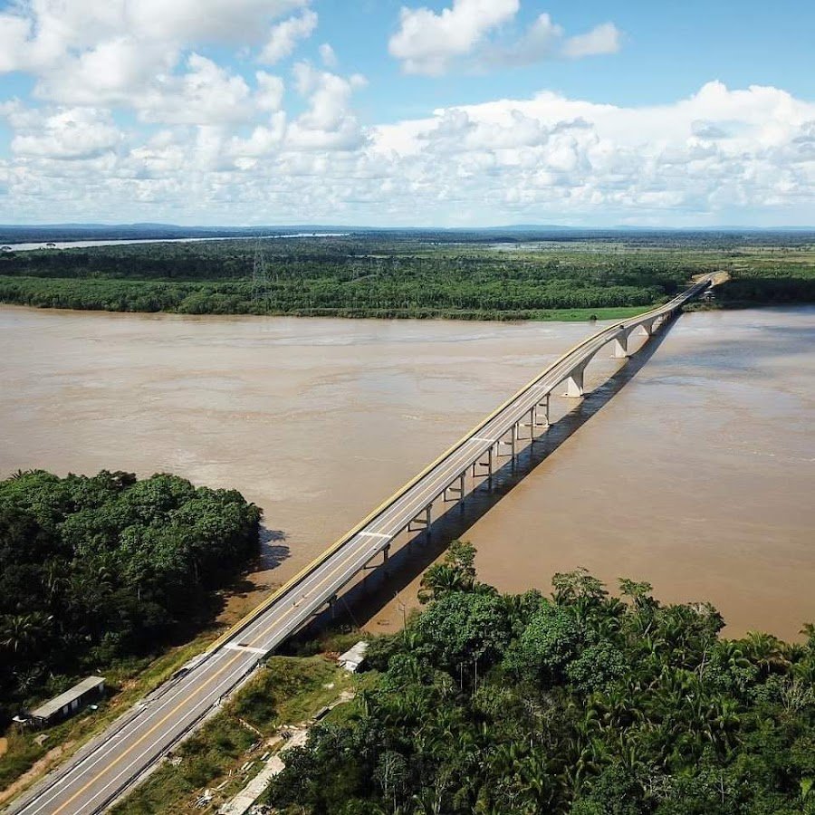 Bosque da ponte