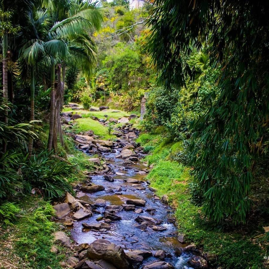 Cachoeira da Gruta em Cristina, MG