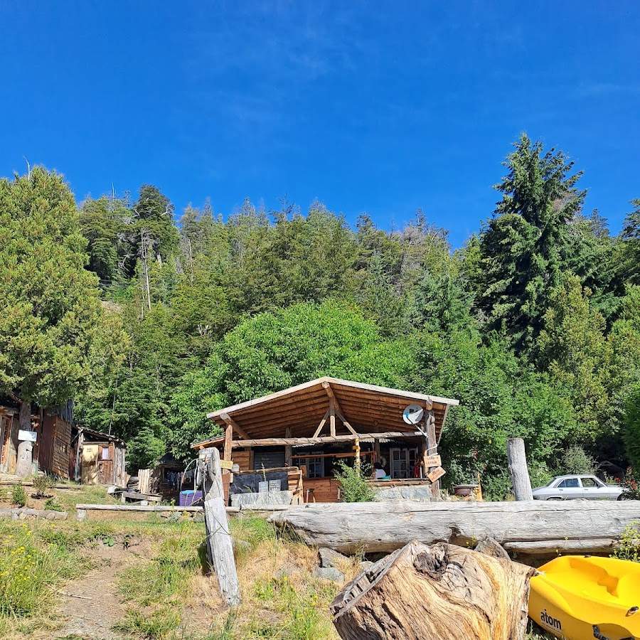 Camping Ale