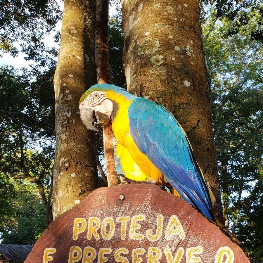 Camping Baía