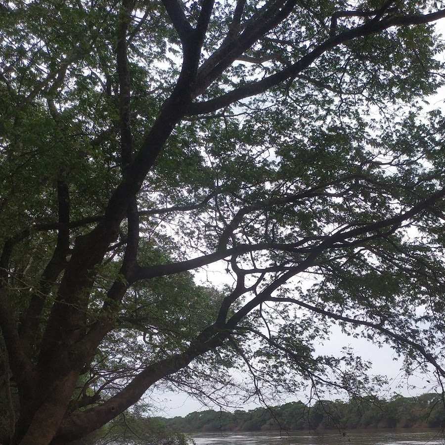 Camping Balneário Porto das Mesas
