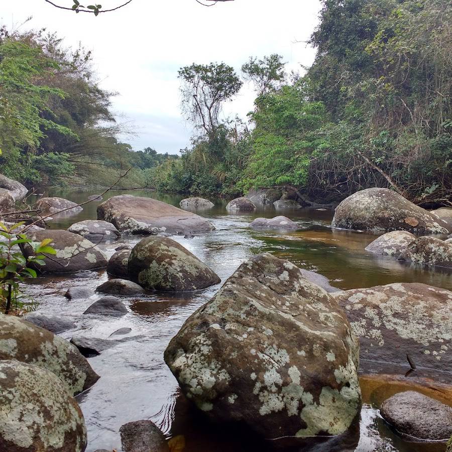 Camping do Seu Silvio