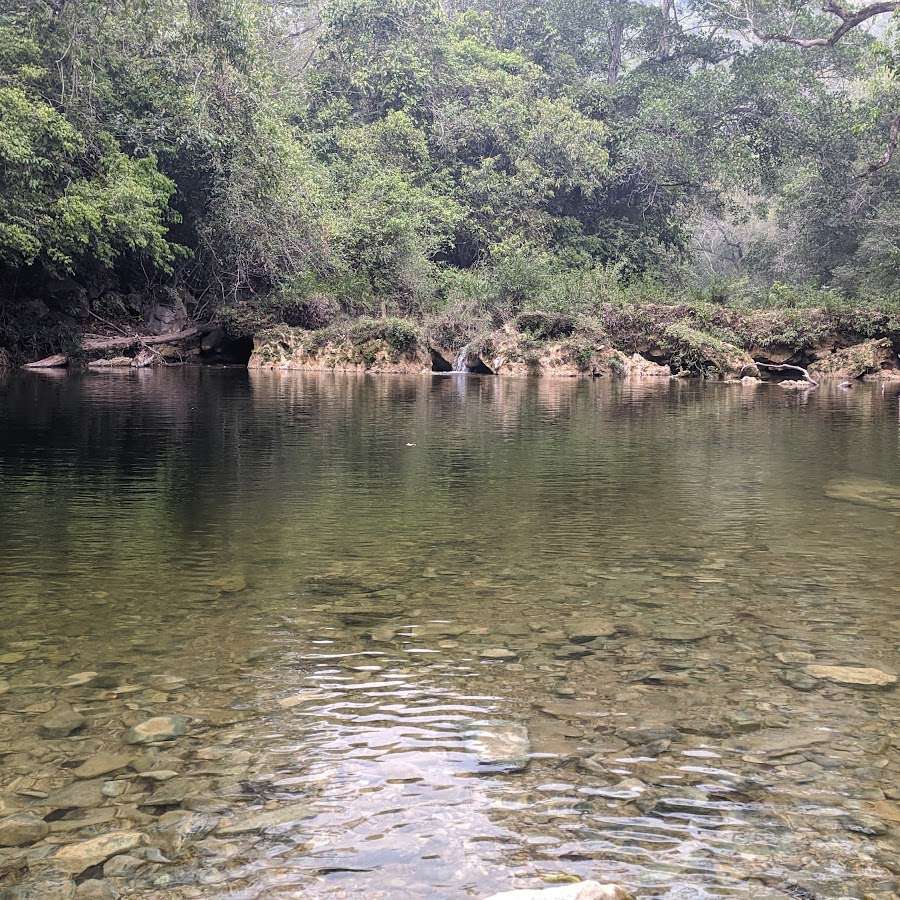 Camping Dona Rosa