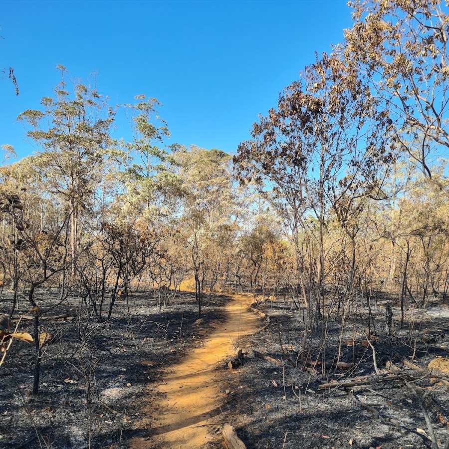 Camping Floresta Nacional de Brasília (Atenção)