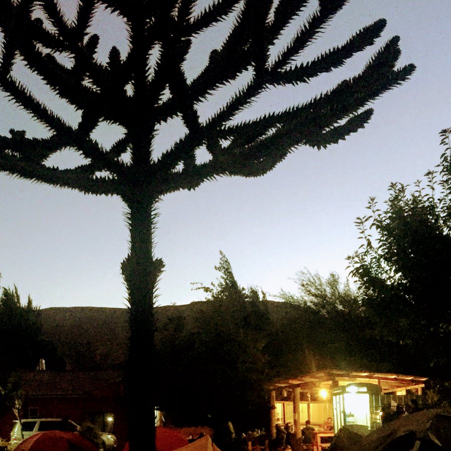 Camping Kon Aiken