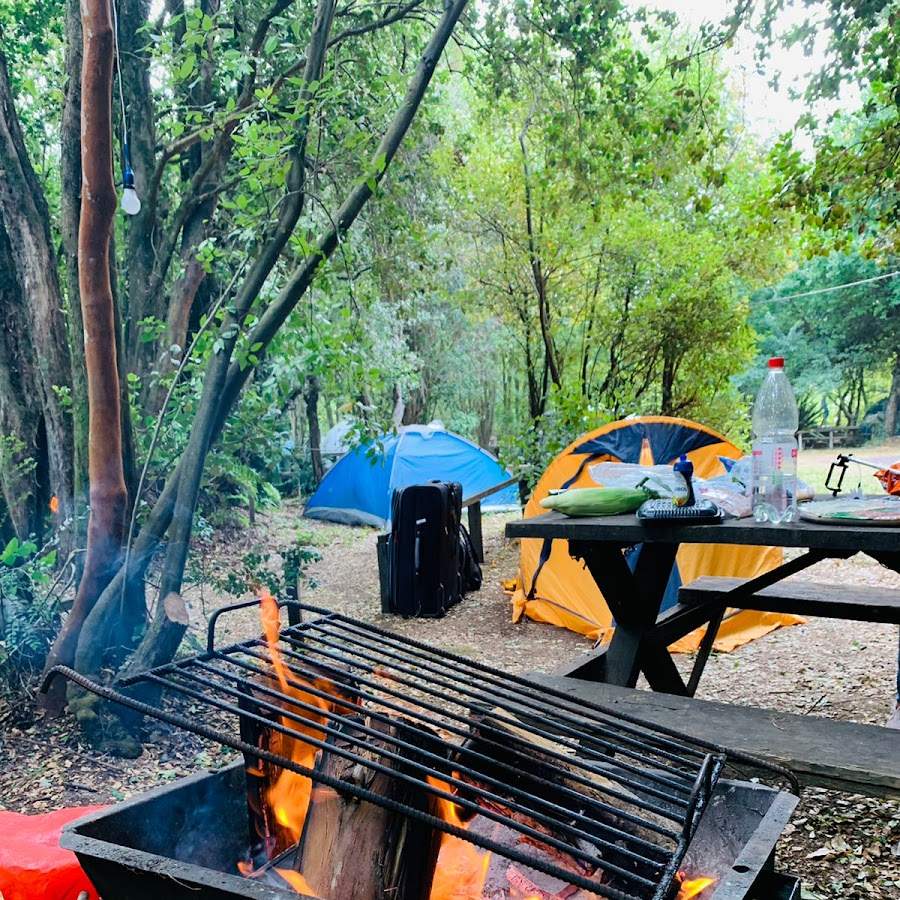 Camping La Poza