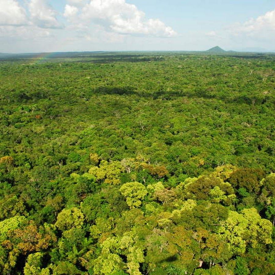 Camping – Parque Nacional do Viruá