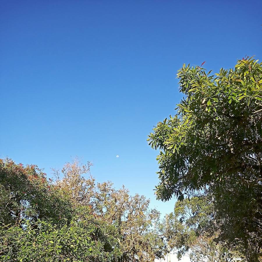 Barra Do Ribeiro camping Severgnini