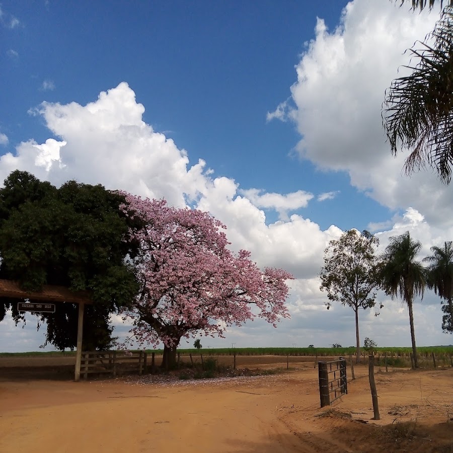 Coroados - SP