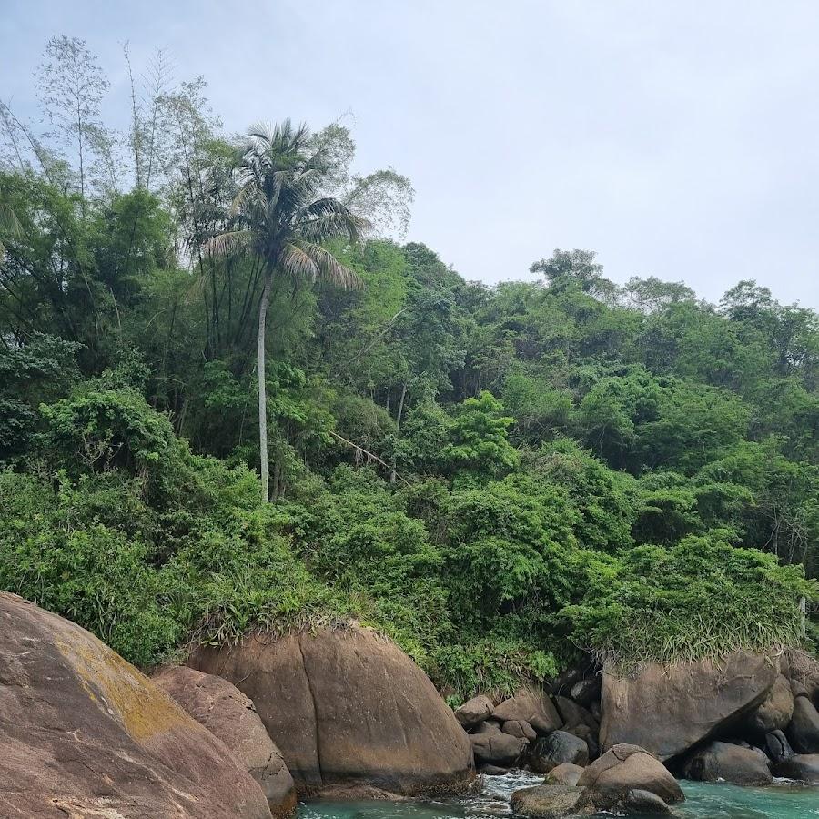Doo aventureiro