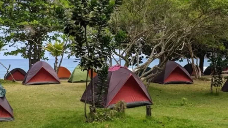 Eco-camping Marambaia