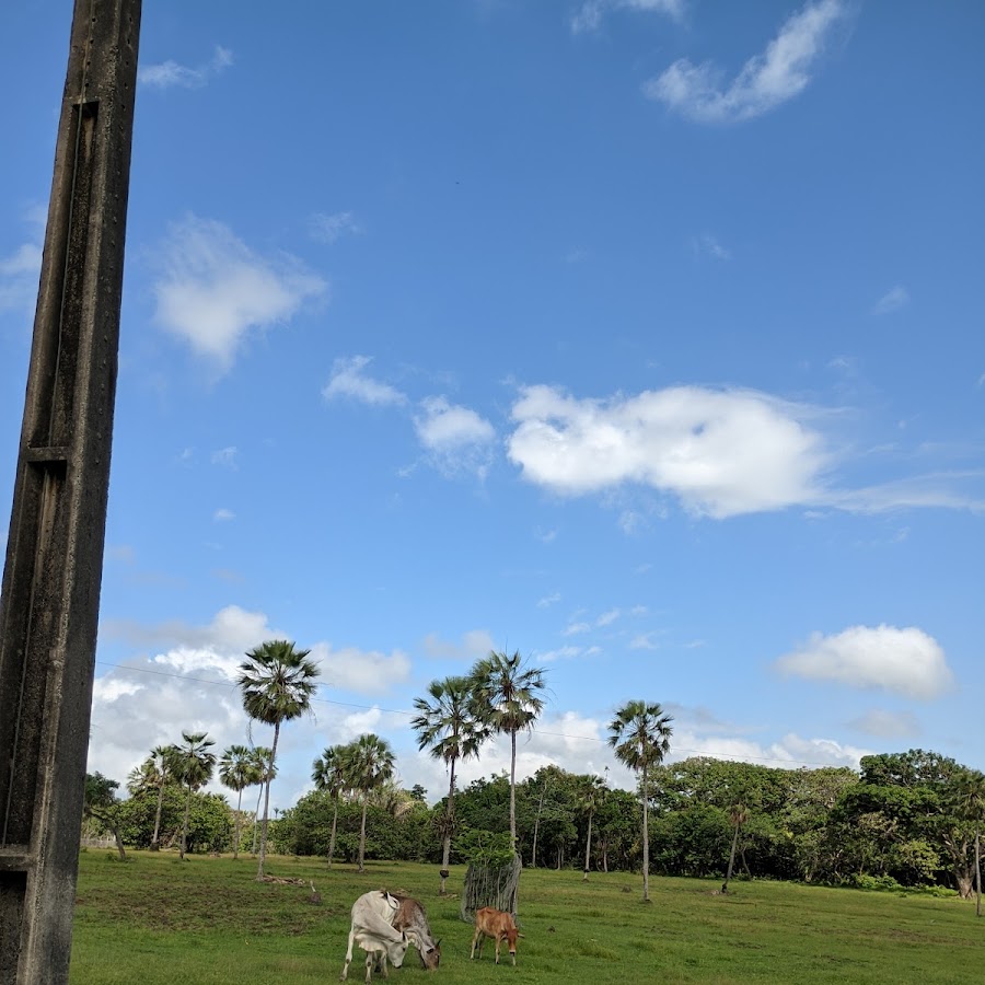 Fazenda abandonada