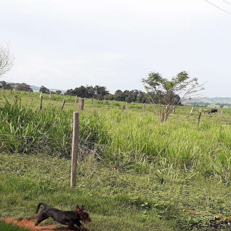 Ipiranga