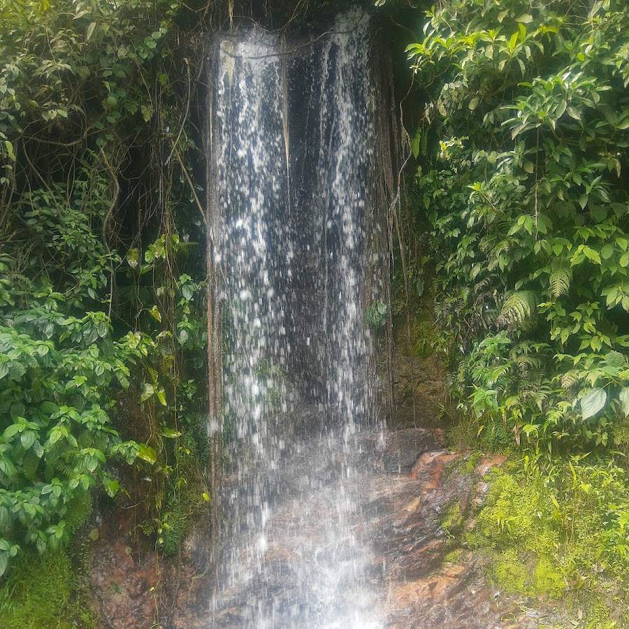 Juquia-sp
