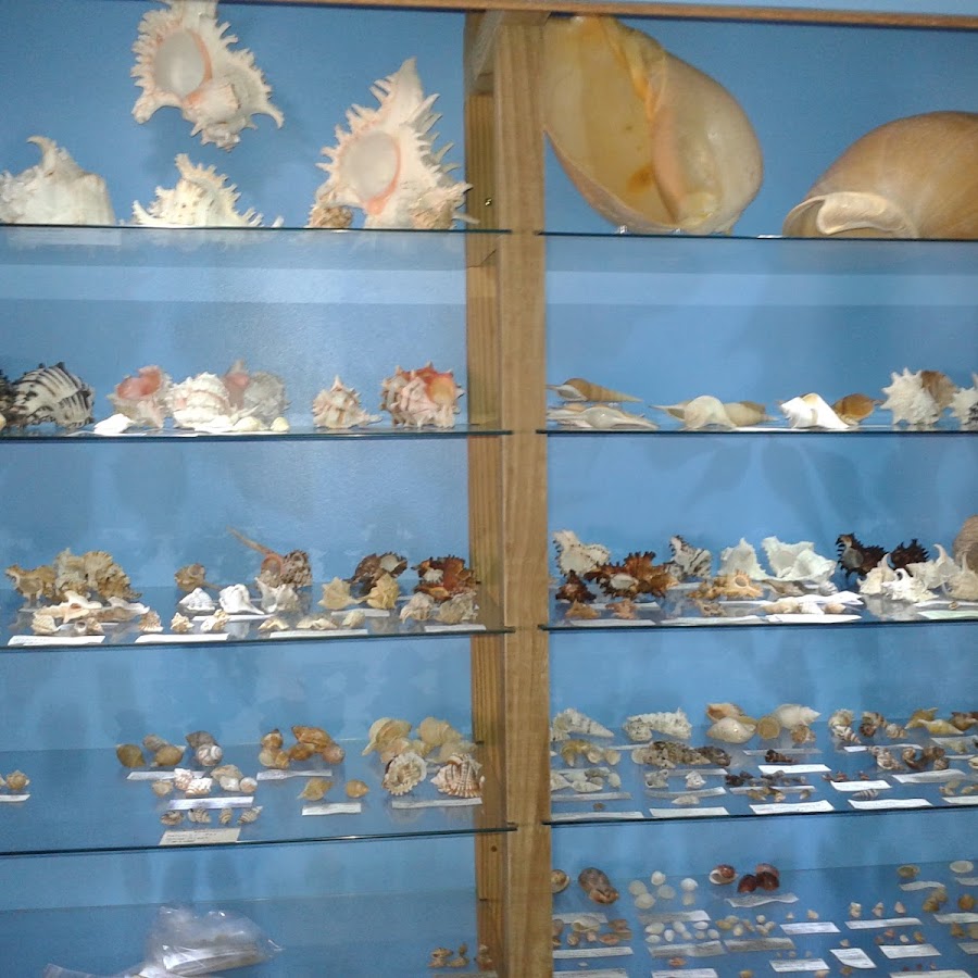 Museu das Conchas