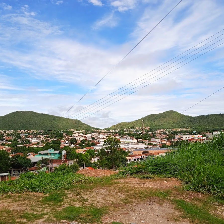Nos campos