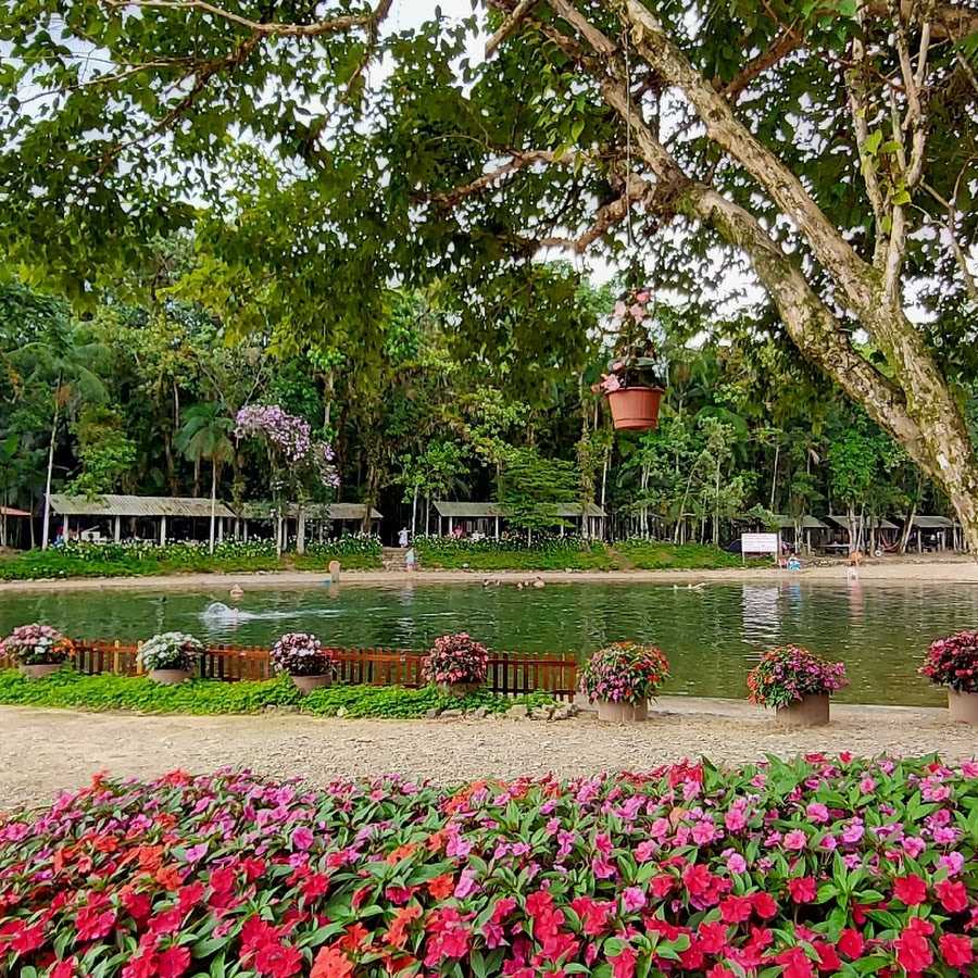 Parque agradável com guindaste de água