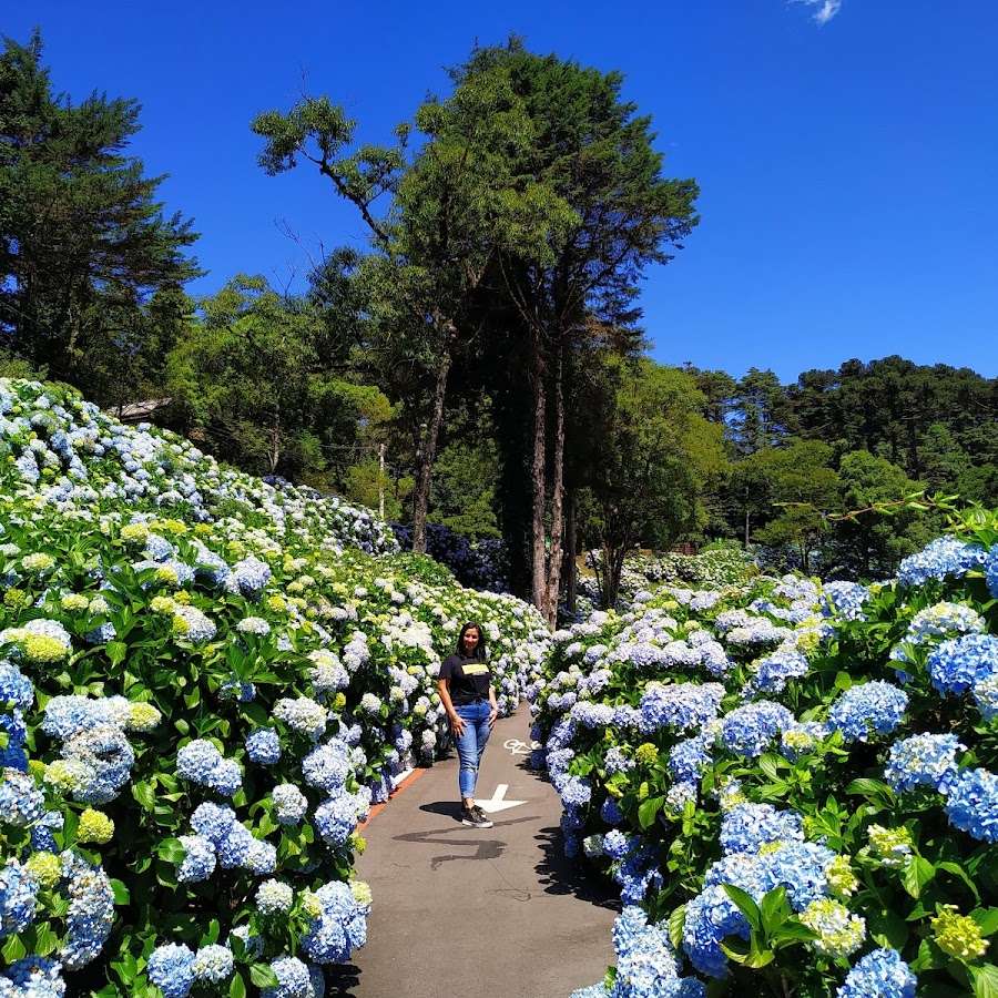 Parque Carrieri