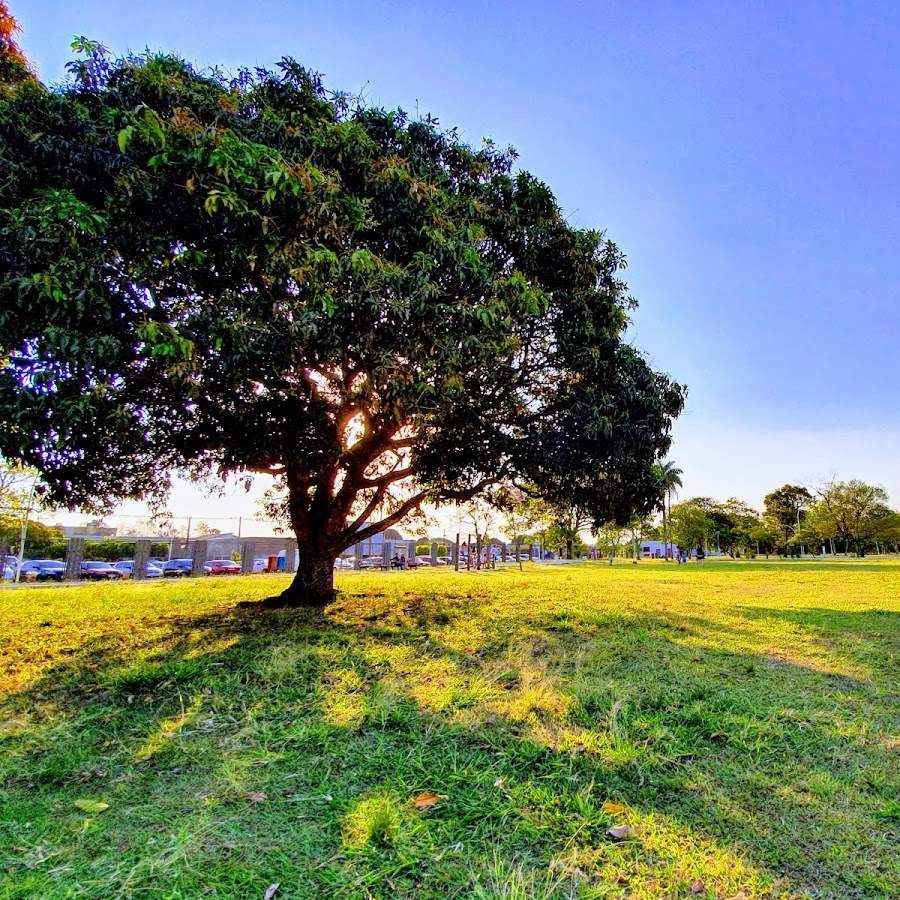 Parque dos Ervais