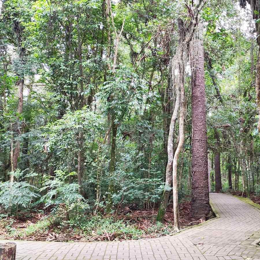 Parque da Fonte