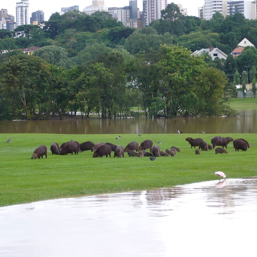 Parque Riverside