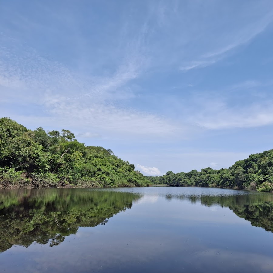 Passeios em Anavilhanas