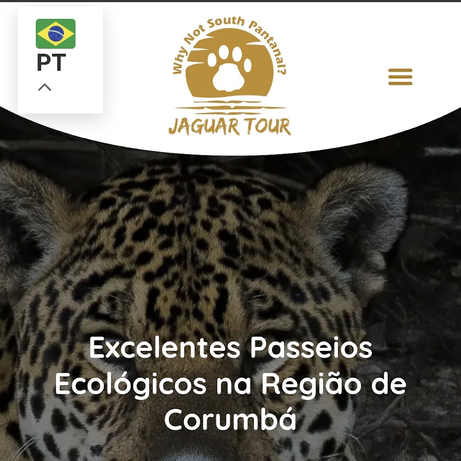 Passeios de barco Jaguar info