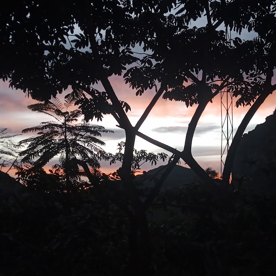 Camping - pico do picó