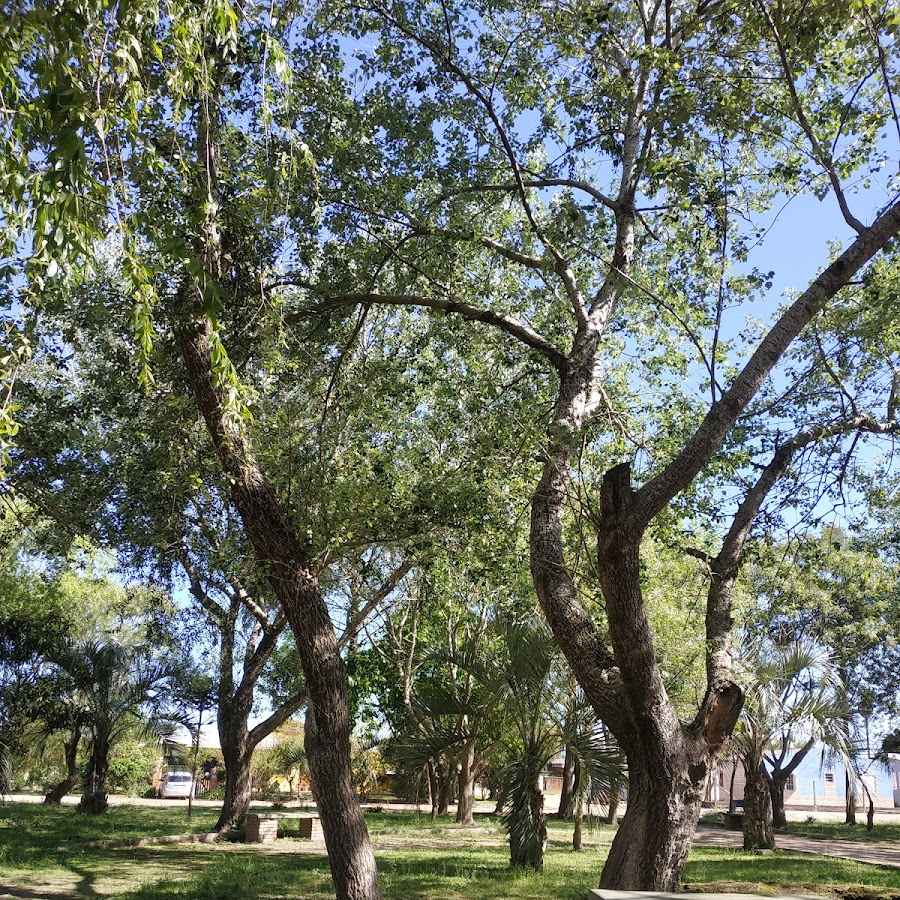 Plaza Tito Reixach