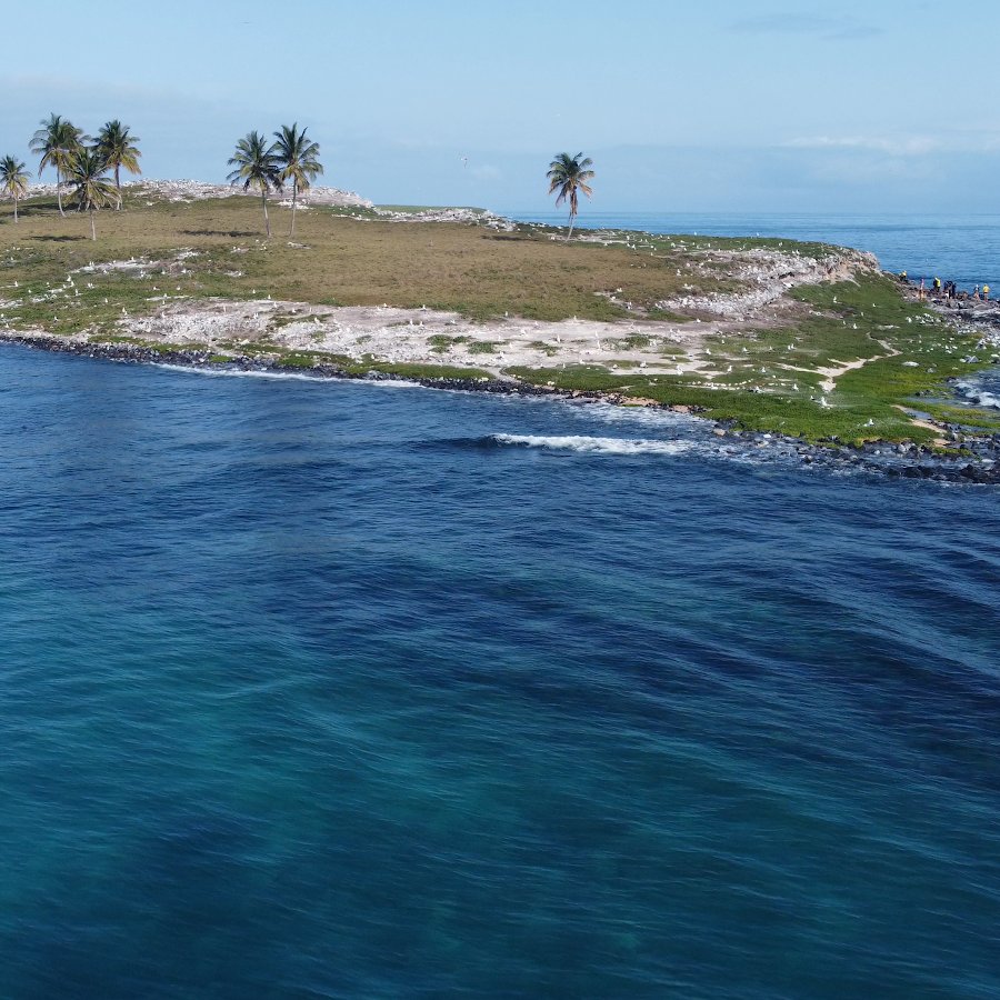 Posto Abrolhos