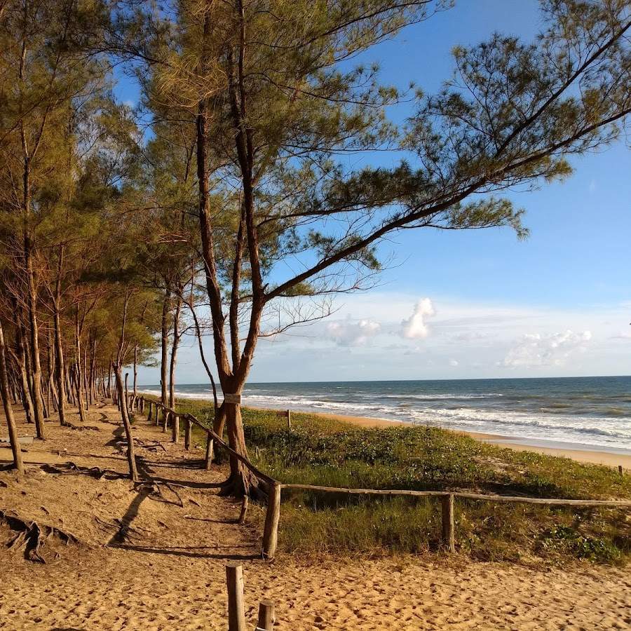 Praia do Bosque