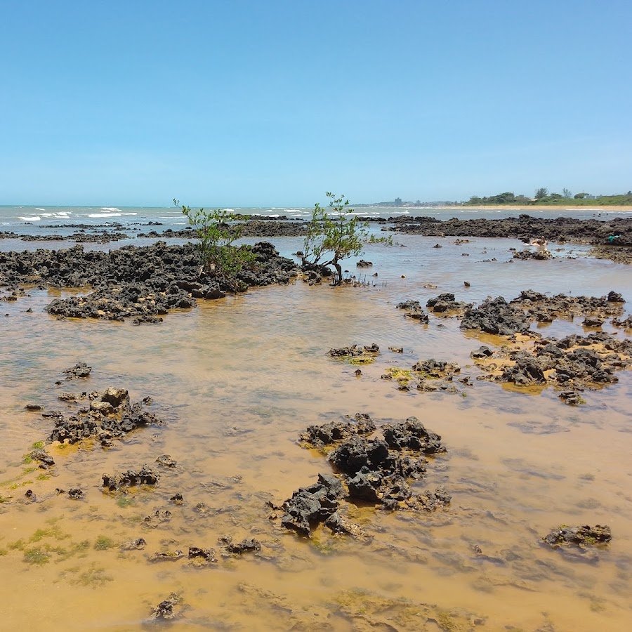 Praia de Capuba