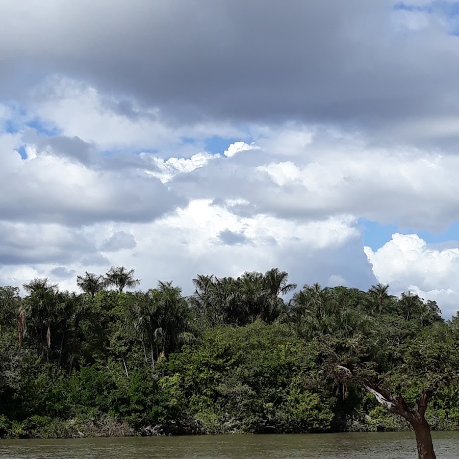 Praia do Curupira