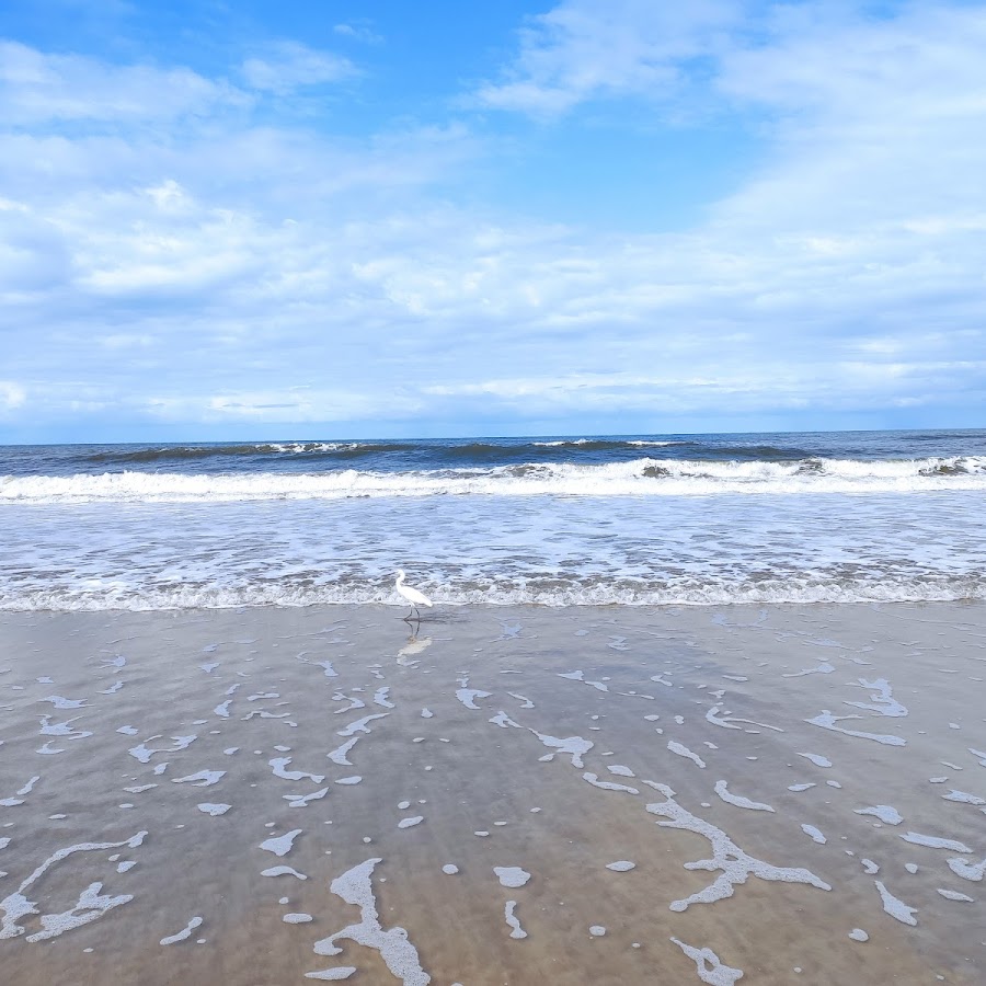 Praia Flamingo