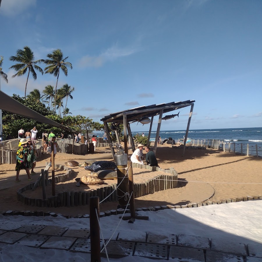 Praia do forte