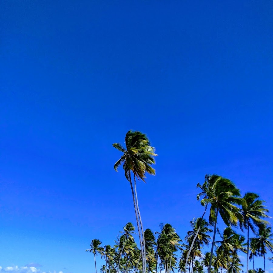 Praia de Gamboa