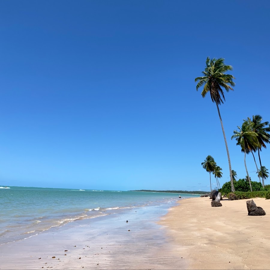 Praia Patacho