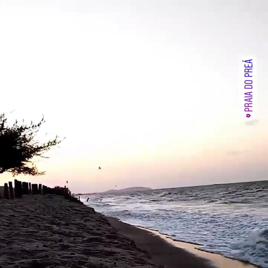 Preá