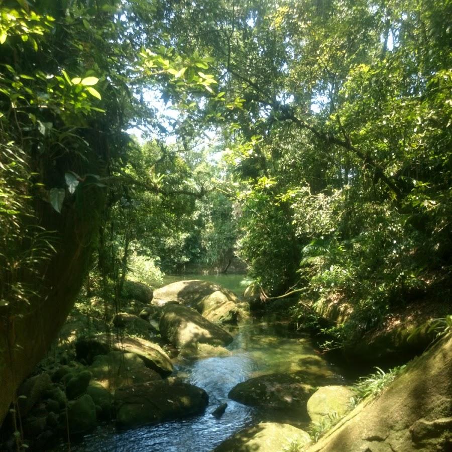 Rio aguapeu