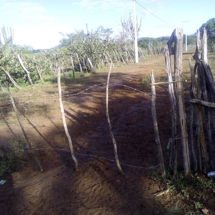 Rio Capivara