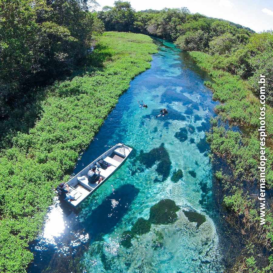 Rio de Crocodilos