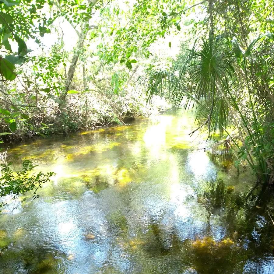 Rio das Pratas