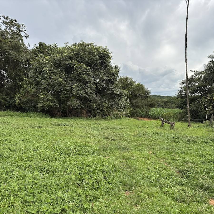 São Miguel do Passa Quatro