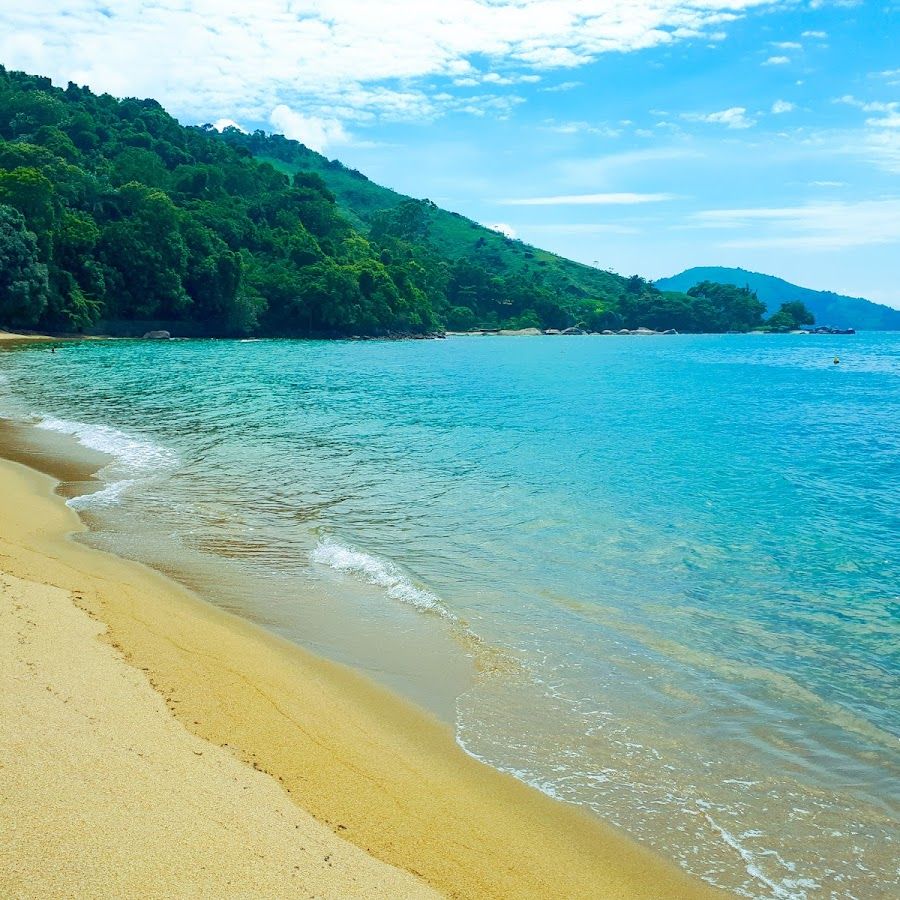 Selva & Praia