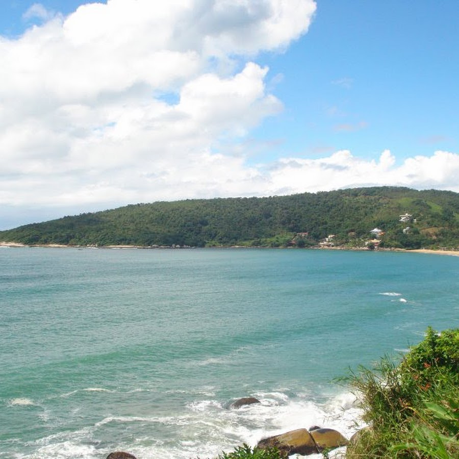 Taguaras