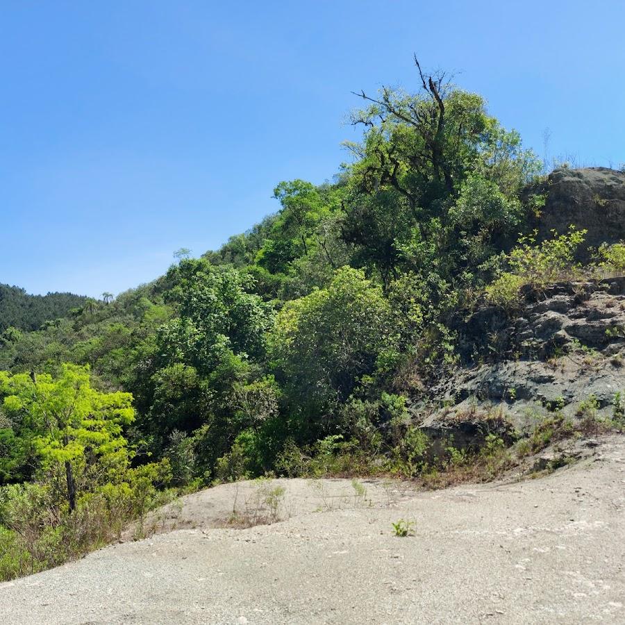Uma Ponte Perto do Mirante da Pedra Cinza